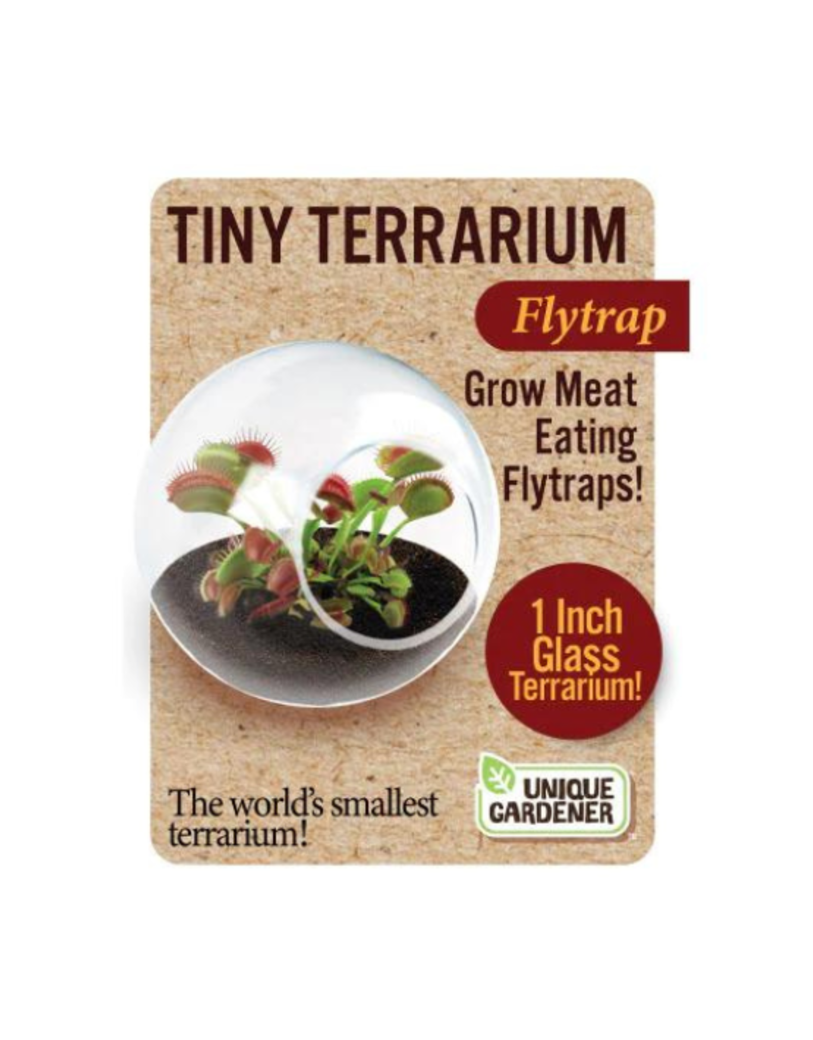 Tiny Terrariums - Fly Trap