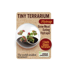 Tiny Terrariums Fly Trap