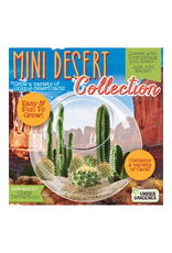 Unique Gardener Glass Terrarium Mini Desert