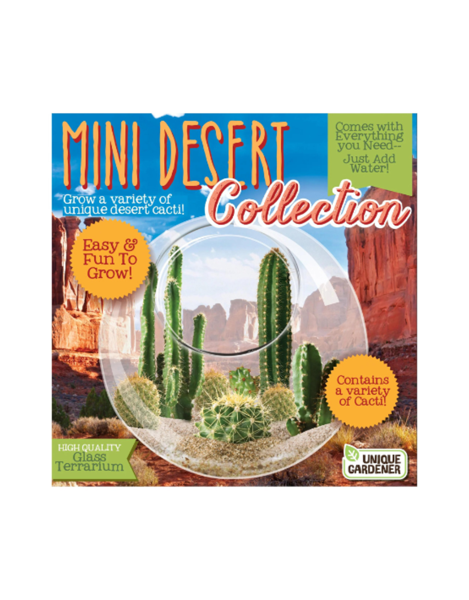 Unique Gardener Glass Terrarium Mini Desert