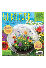 Unique Gardener Glass Terrarium Wildflower Blooms
