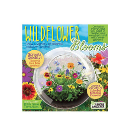 Unique Gardener Glass Terrarium Wildflower Blooms