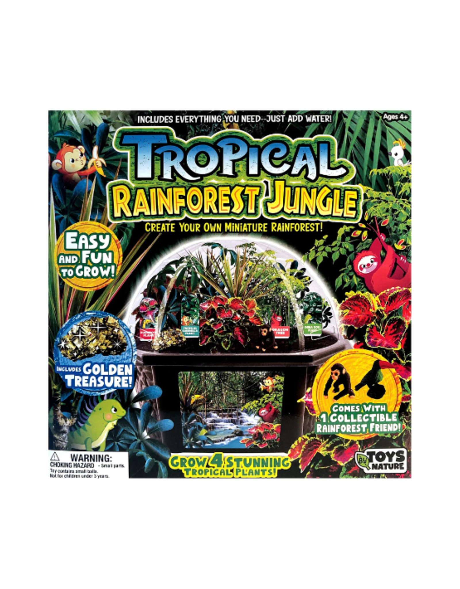 Tropical Rainforest Jungle Biosphere