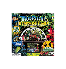 Tropical Rainforest Jungle Biosphere