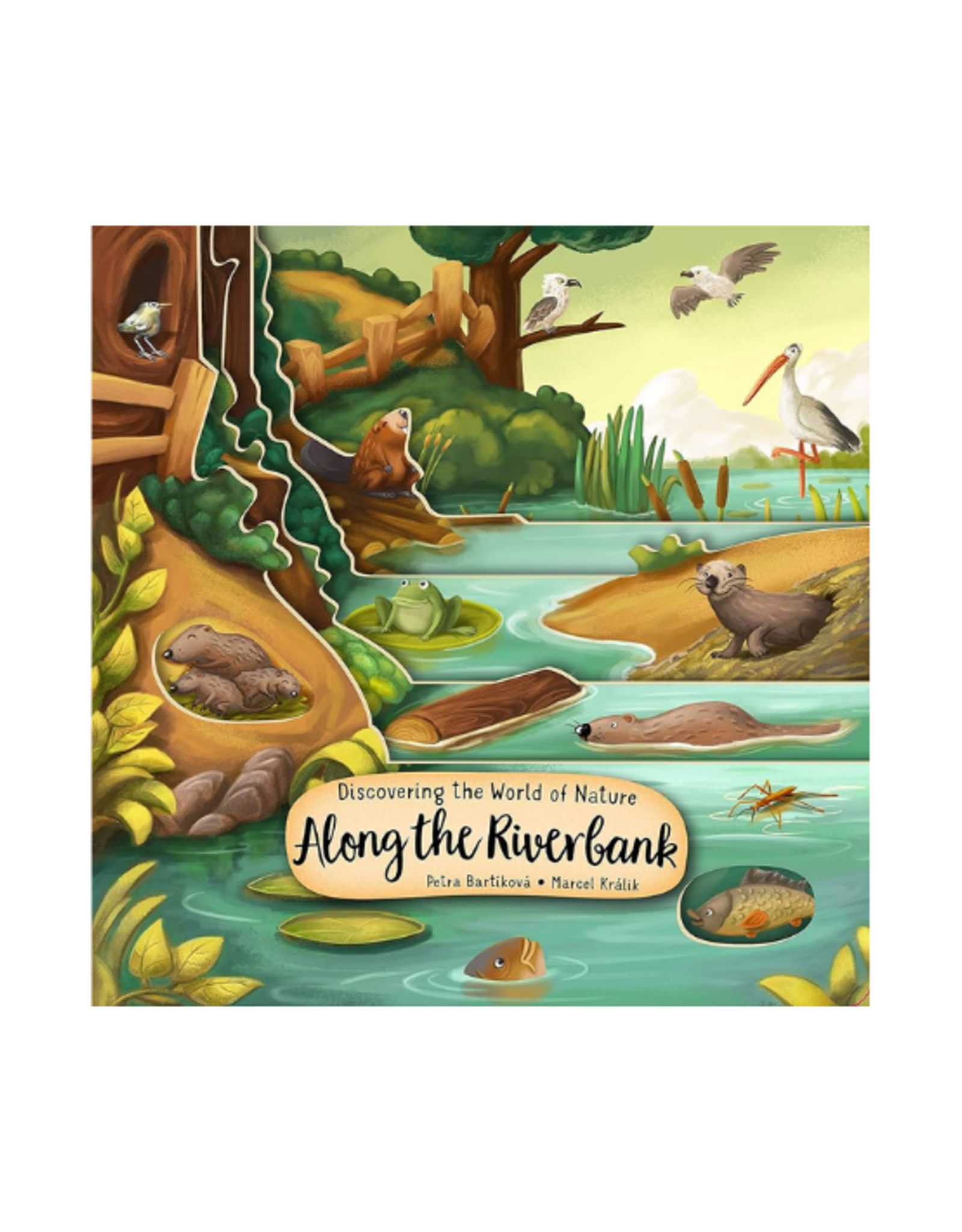 Happy Fox Books Book - Discovering the World of Nature Along the Riverbank