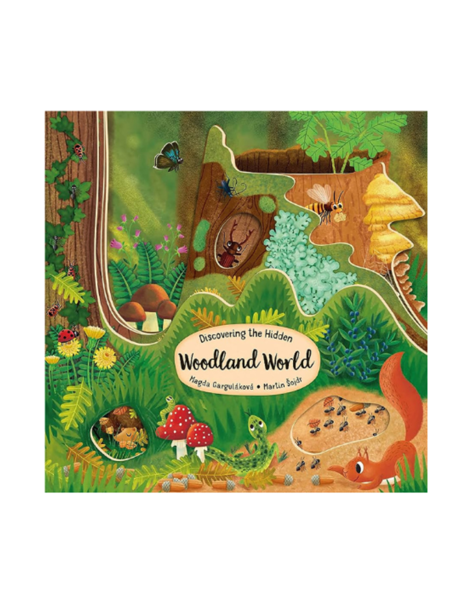 Happy Fox Books Book - Discovering the Hidden Woodland World