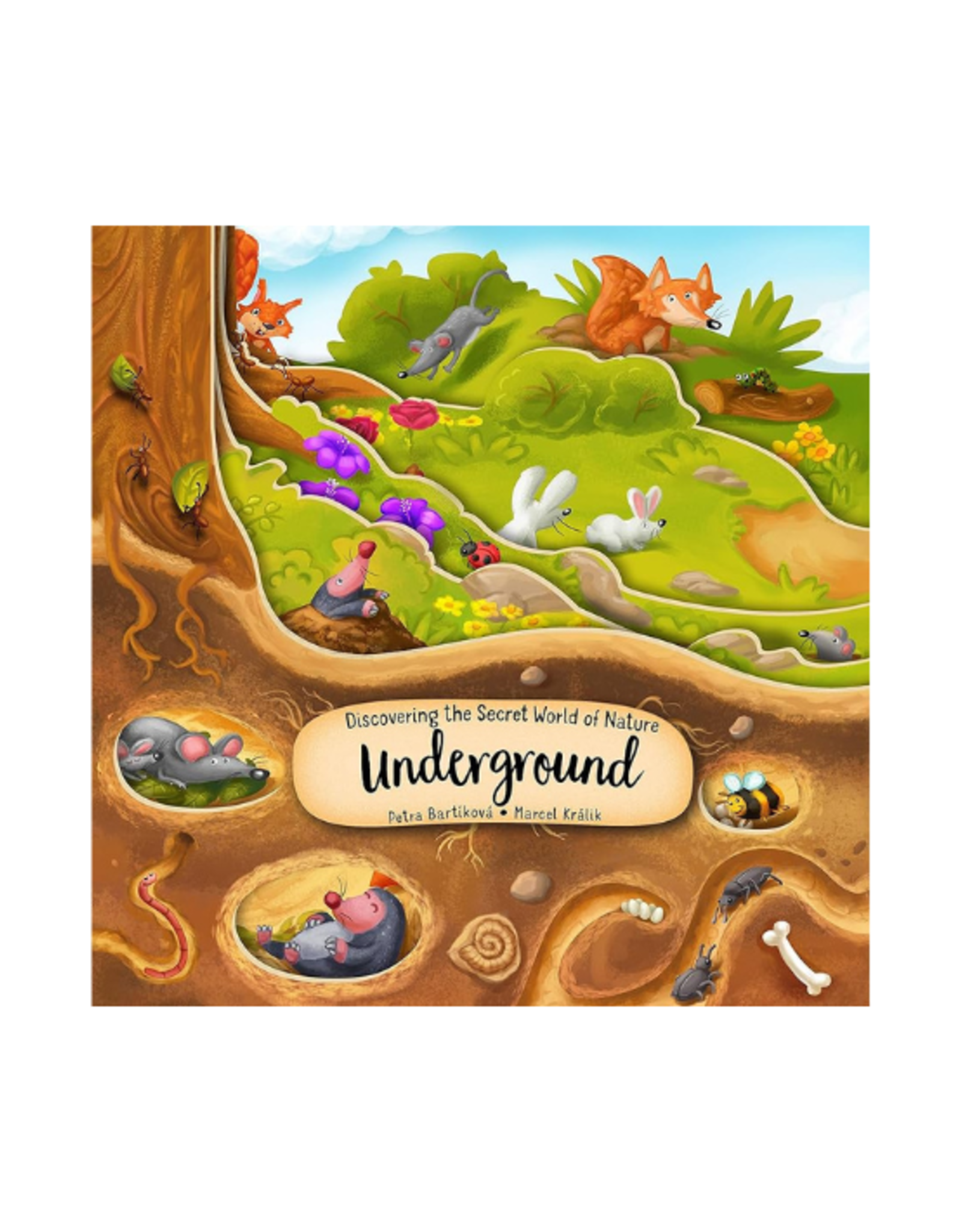 Happy Fox Books Book - Discovering the Secret World of Nature Underground
