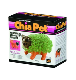 Chia Pet Kitten