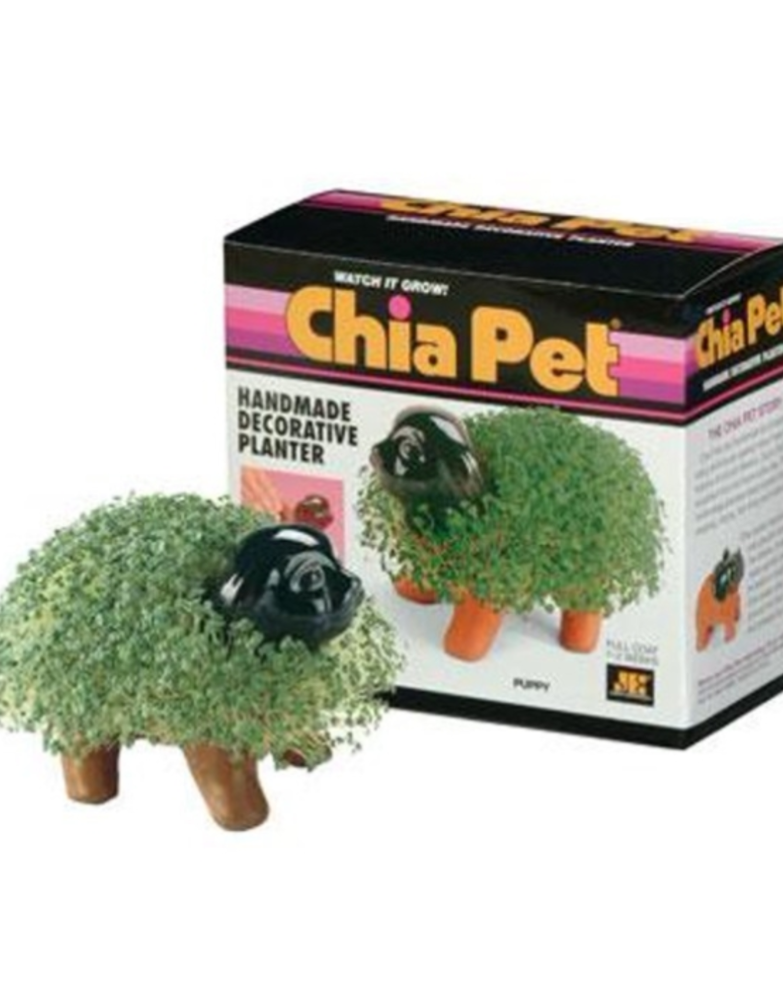 Chia Pet - Puppy
