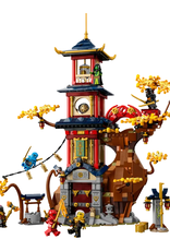 Lego Lego - Ninjago - 71795 - Temple of the Dragon Energy Cores