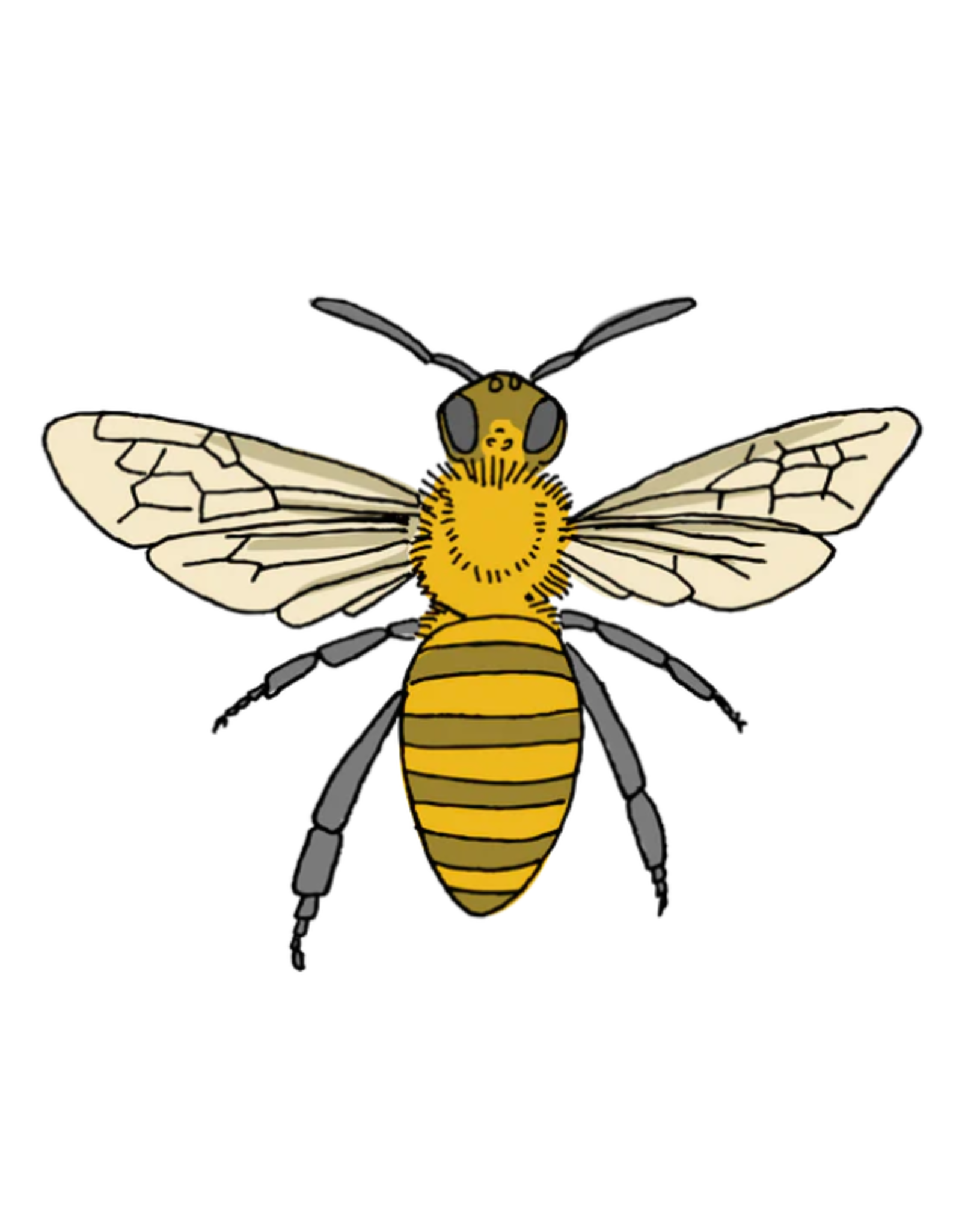 Tattly Tattly - Honey Bee Tattoo Pair