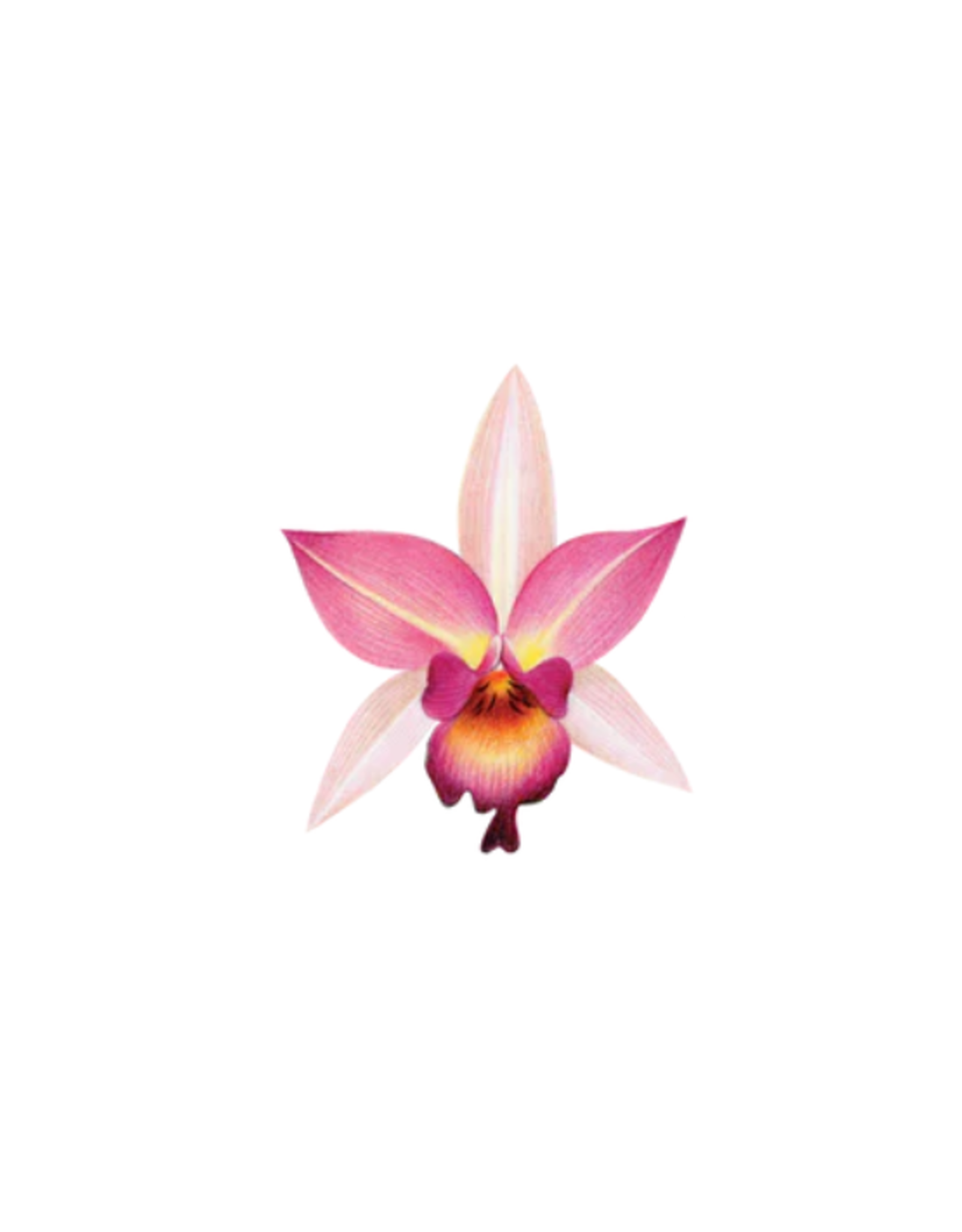 Tattly Tattly - Pink Orchid Tattoo Pair