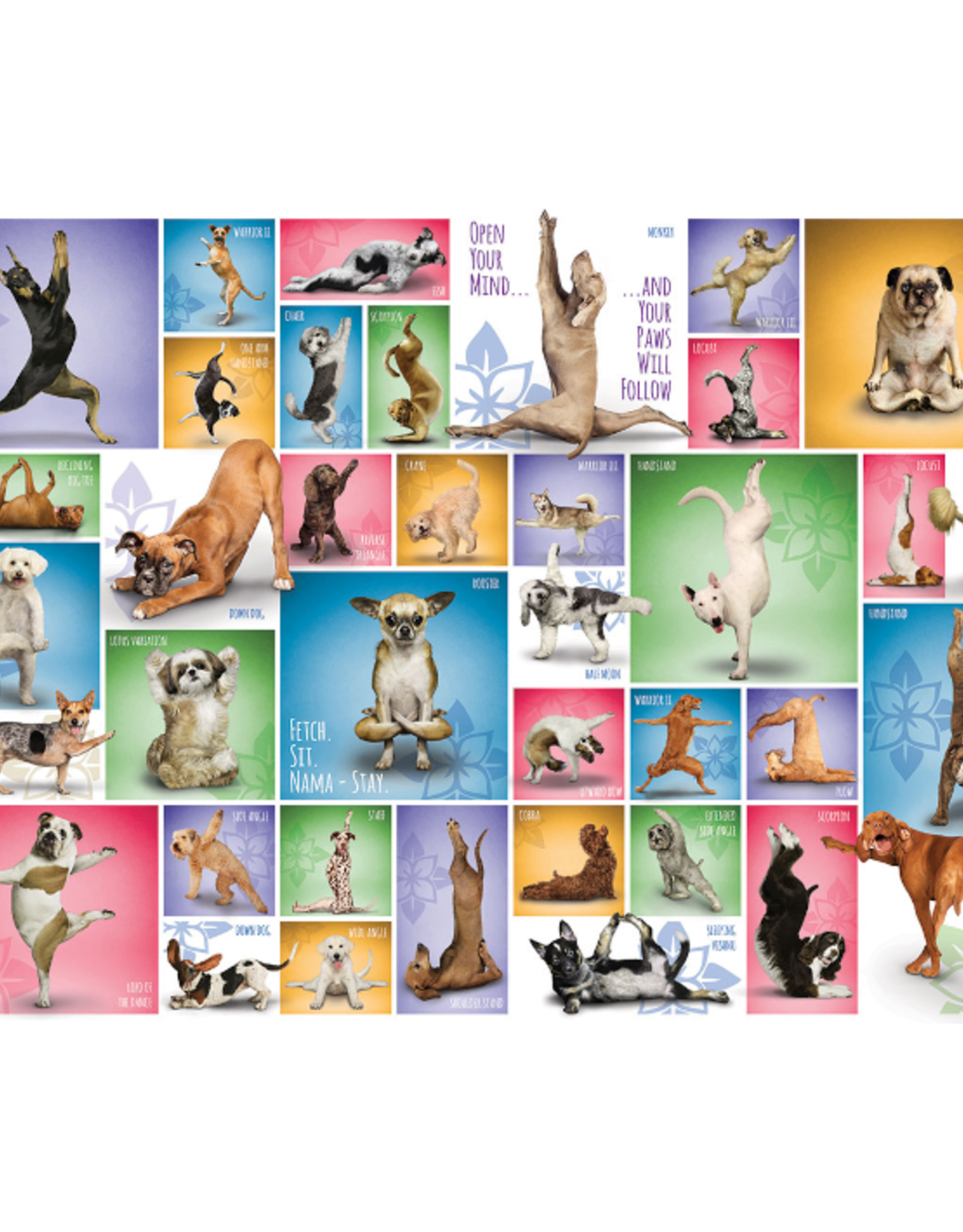 Eurographics - 1000pcs - Yoga Dogs