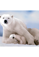 Eurographics Eurographics - 1000pcs - Polar Bear and Baby