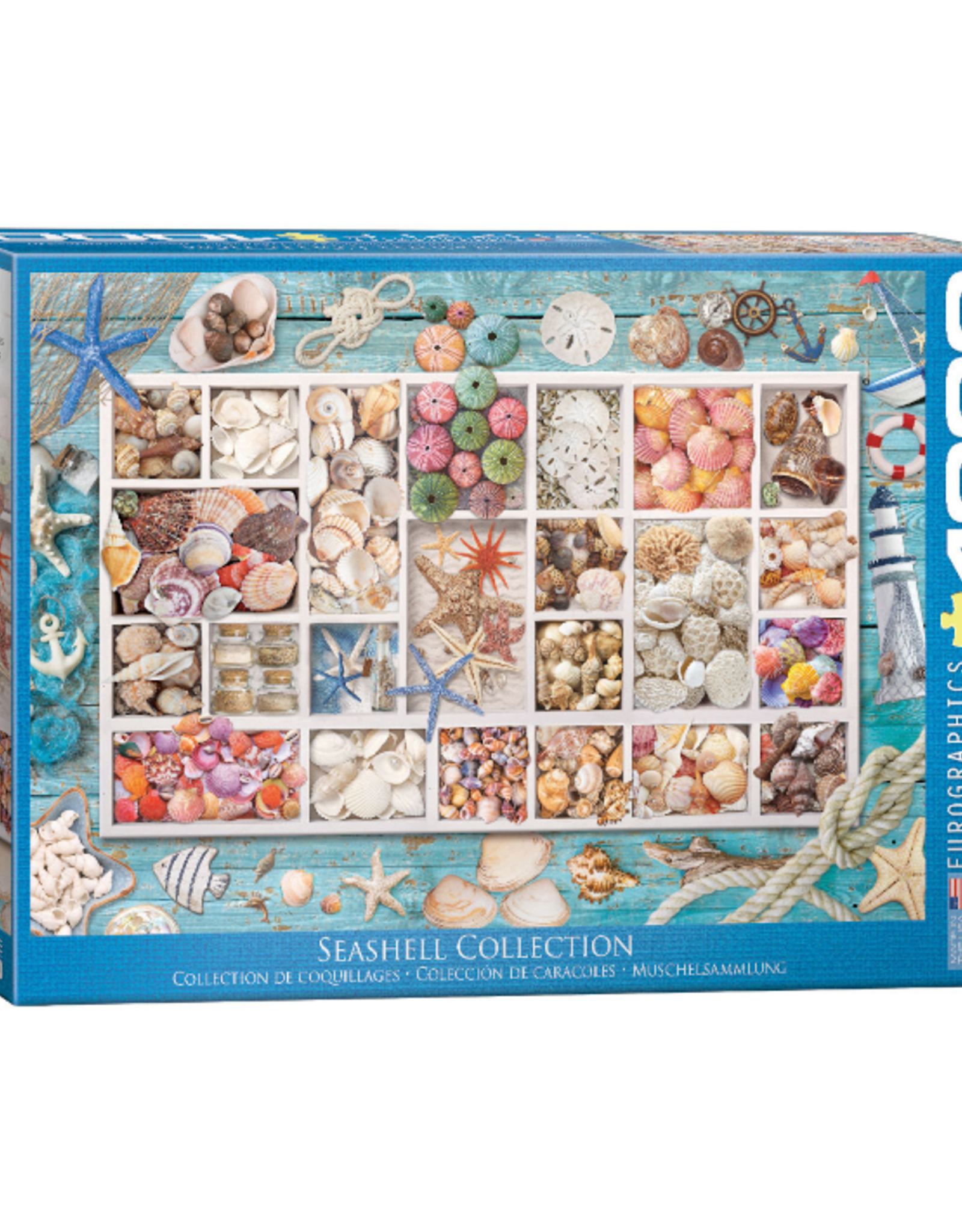 Eurographics Eurographics - 1000pcs - Seashell Collection