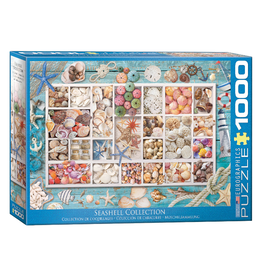 Eurographics Seashell Collection (1000pcs)