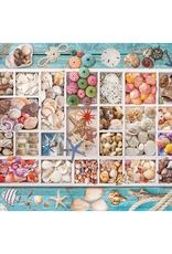 Eurographics Eurographics - 1000pcs - Seashell Collection
