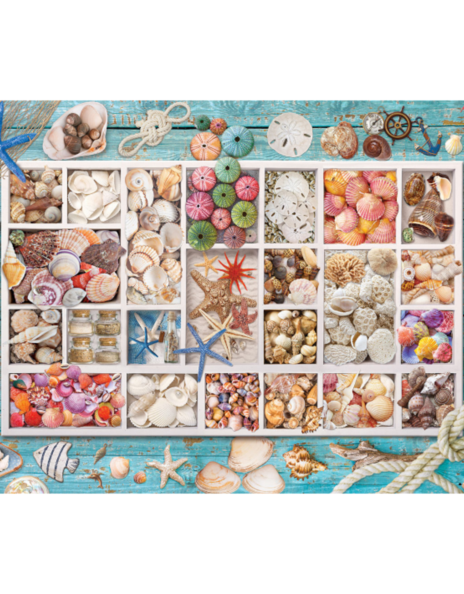 Eurographics Eurographics - 1000pcs - Seashell Collection