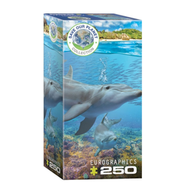 Eurographics Dolphins (250pcs)