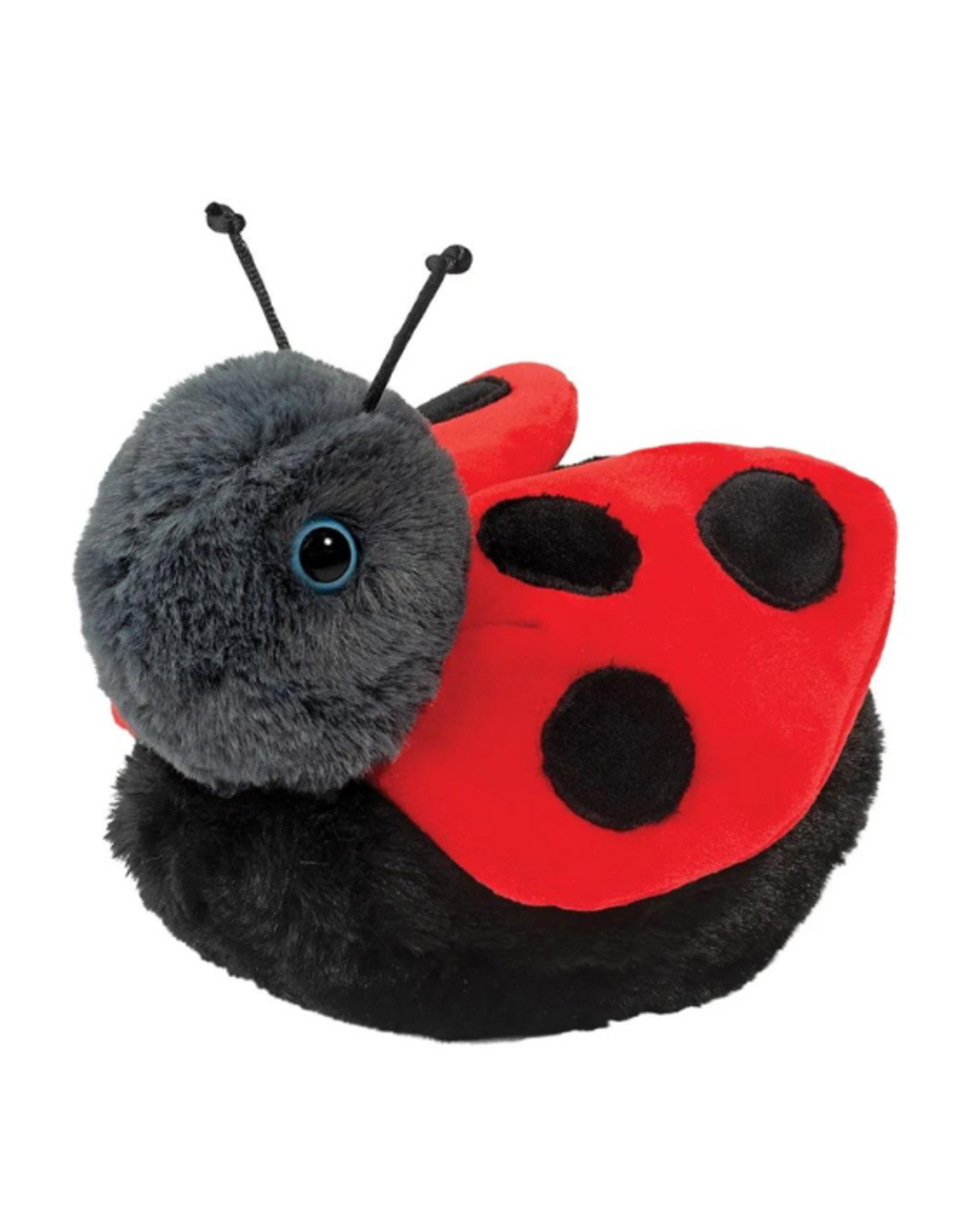 Douglas Douglas - Bert Ladybug