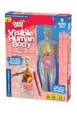 Thames & Kosmos Thames & Kosmos - Ooze Labs: Visible Human Body with Squishable Organs