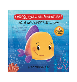 Choose Your Own Adventure Choose Your Own Adventure Board Book Journey Under the Sea