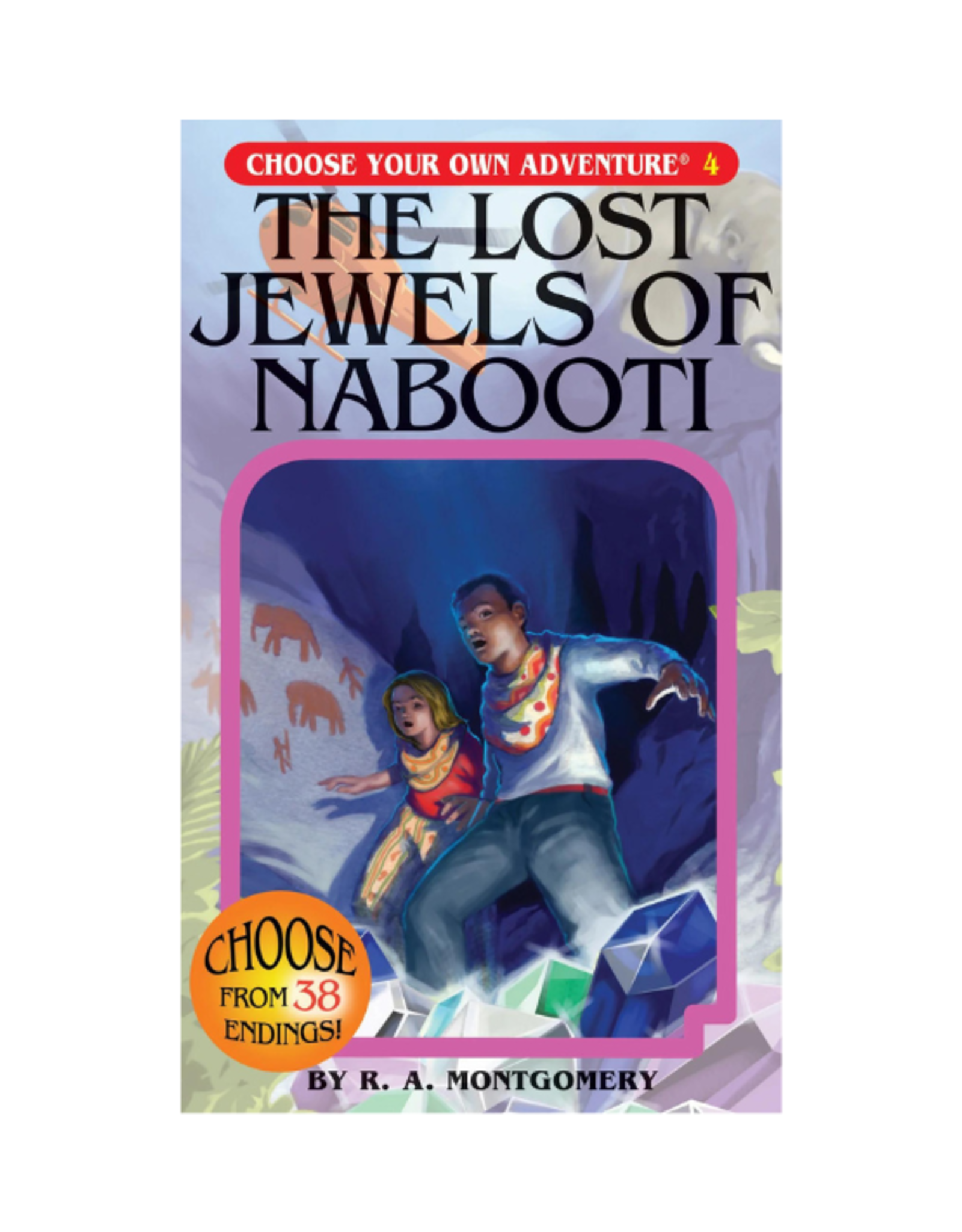 Choose Your Own Adventure Book - Choose Your Own Adventure - The Lost Jewels of Nabooti