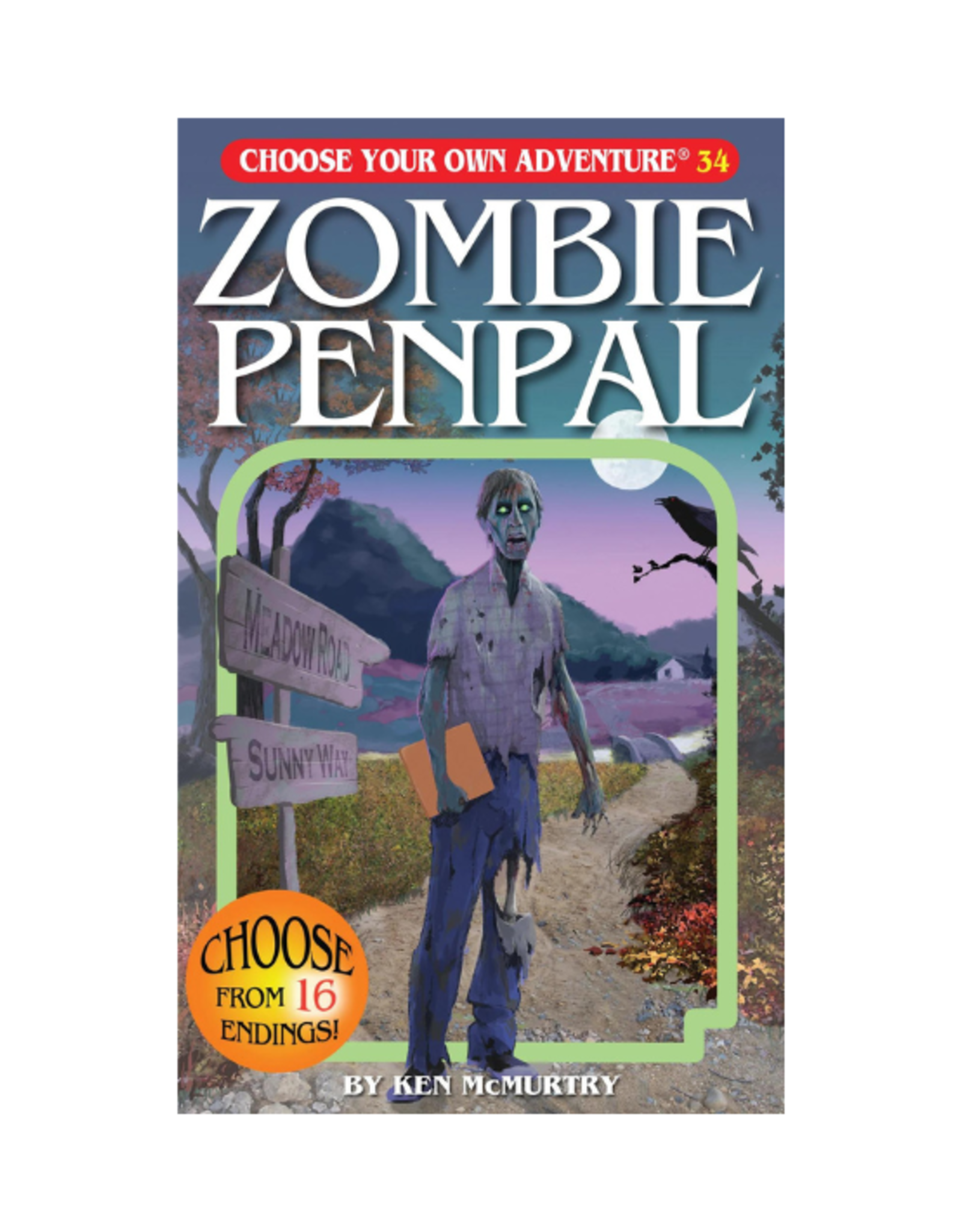 Choose Your Own Adventure Book - Choose Your Own Adventure - Zombie Penpal