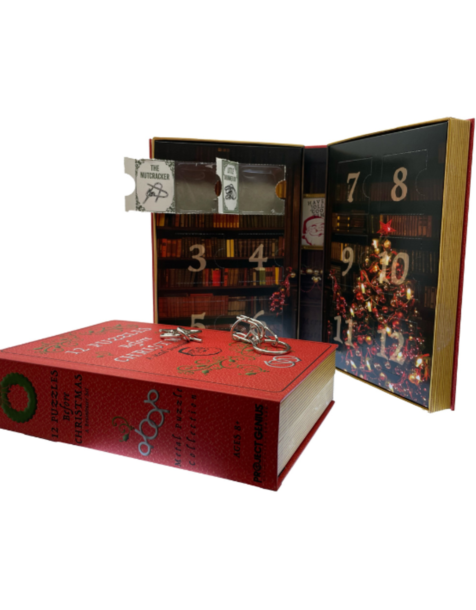 Project Genius - Christmas Metal Brainteaser Set
