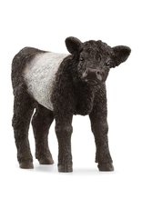 Schleich Schleich - Farm World - 13969 - Galloway Calf