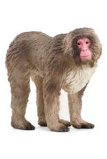 Schleich Schleich - Wild Life - 14871 - Japanese Macaque
