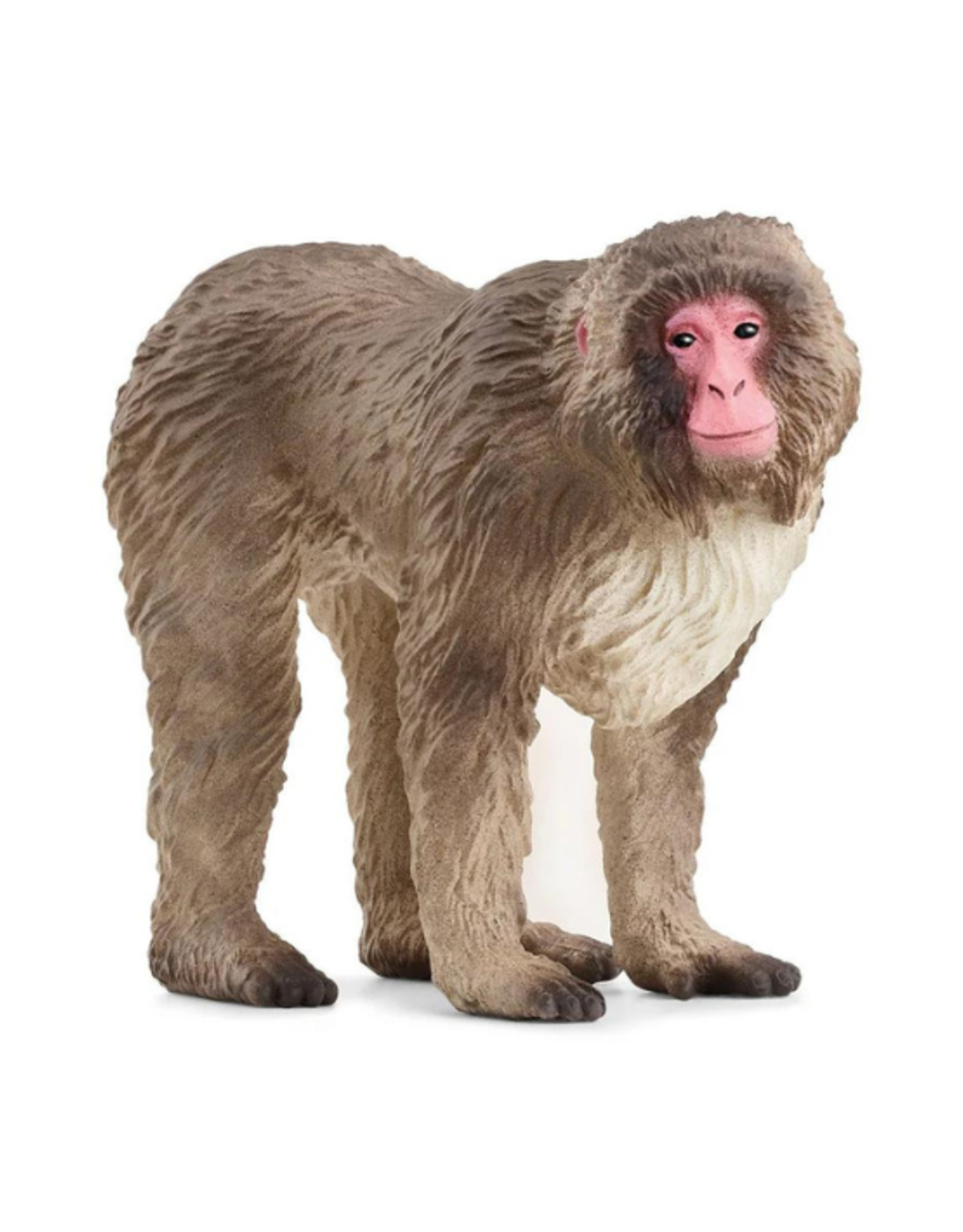 Schleich Schleich - Wild Life - 14871 - Japanese Macaque