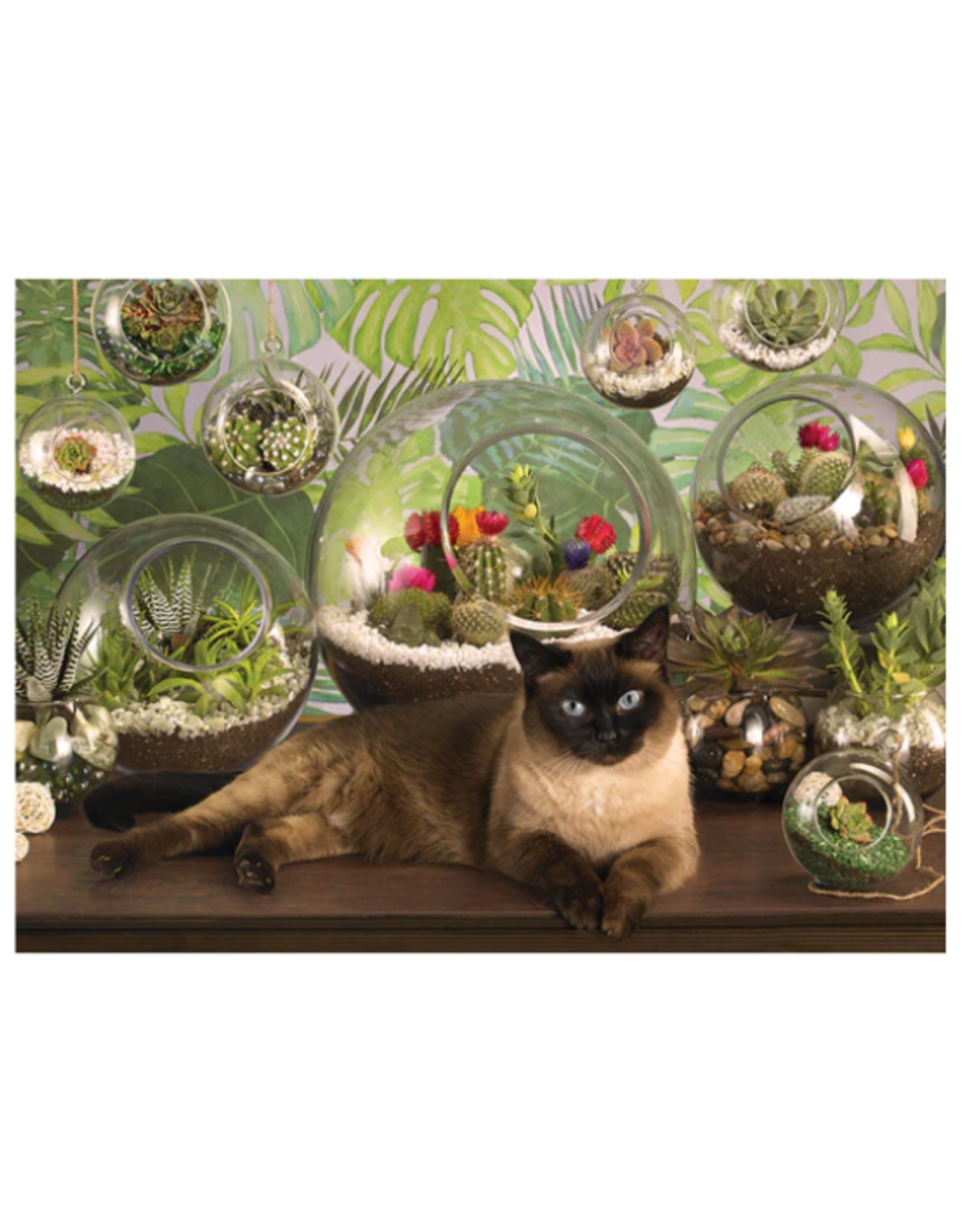 Cobble Hill Cobble Hill - 1000pc - Terrarium Cat