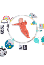 Taf Toys - All Around Me Activity Hoop