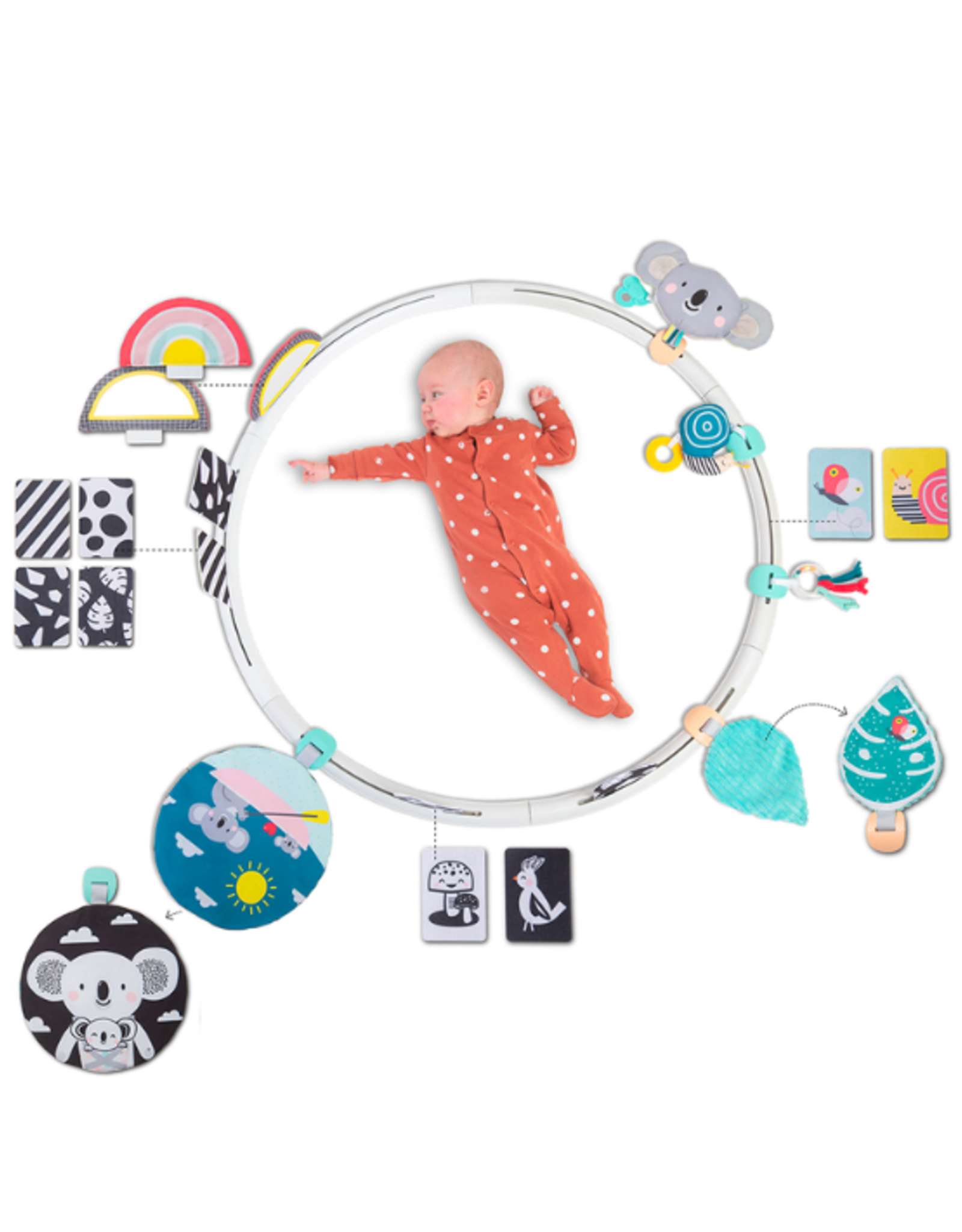 Taf Toys - All Around Me Activity Hoop