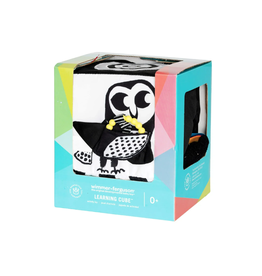 Manhattan Toy Company Wimmer Ferguson Learning Cube