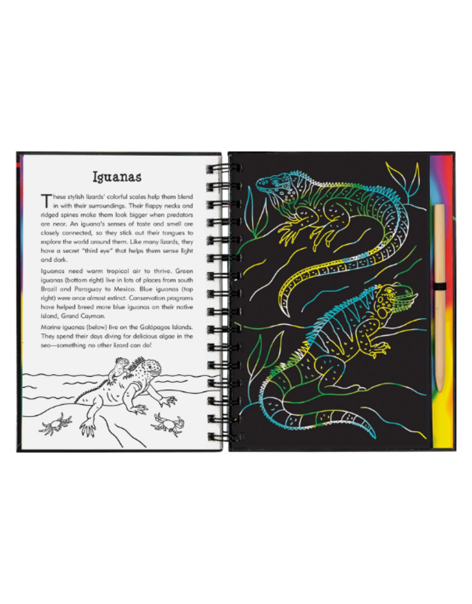 Peter Pauper Press Peter Pauper Press - Reptiles & Amphibians Scratch and Sketch