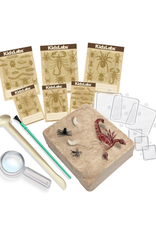 4M 4M - KidzLabs Creepy Crawly Digging Kit