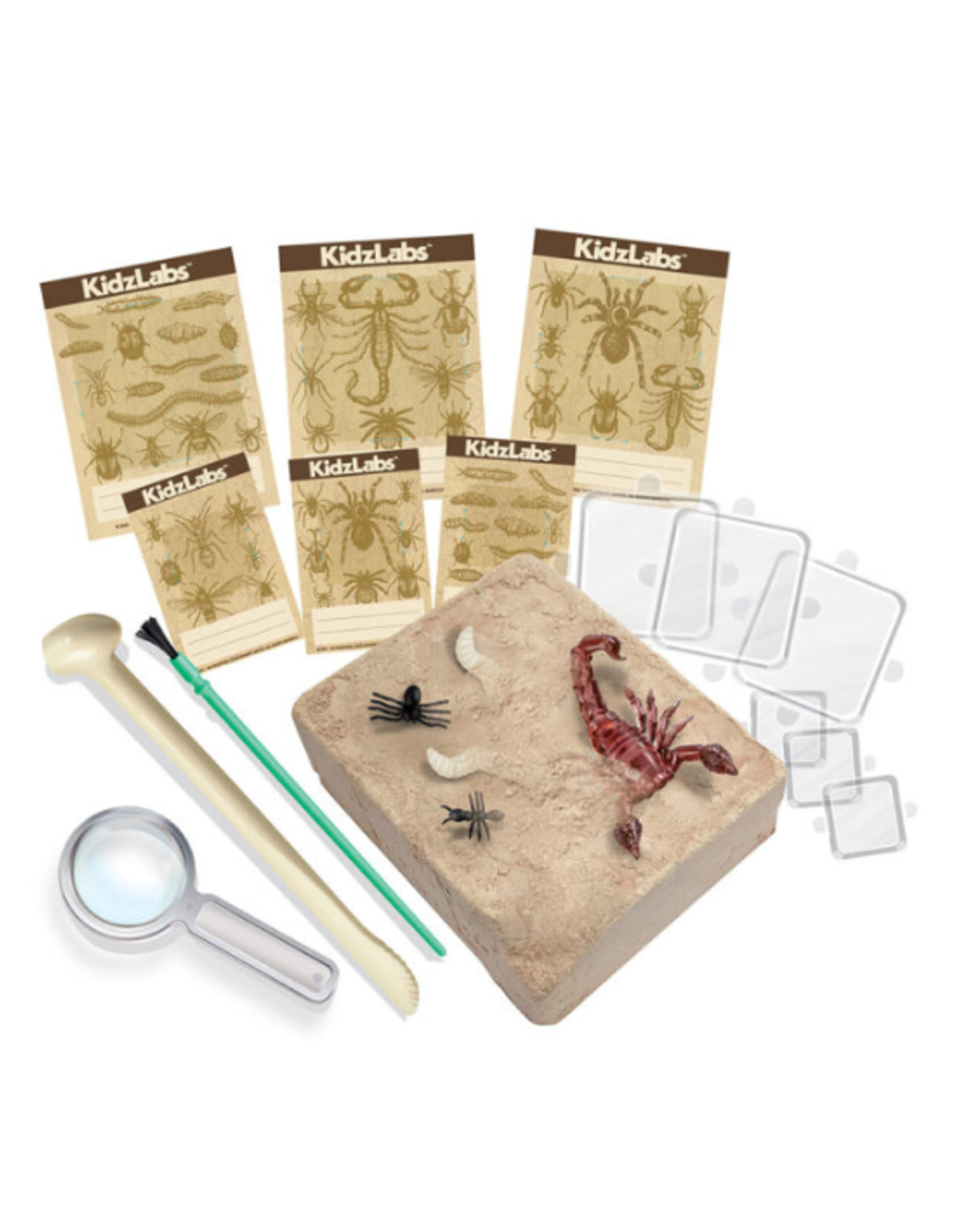 4M 4M - KidzLabs Creepy Crawly Digging Kit