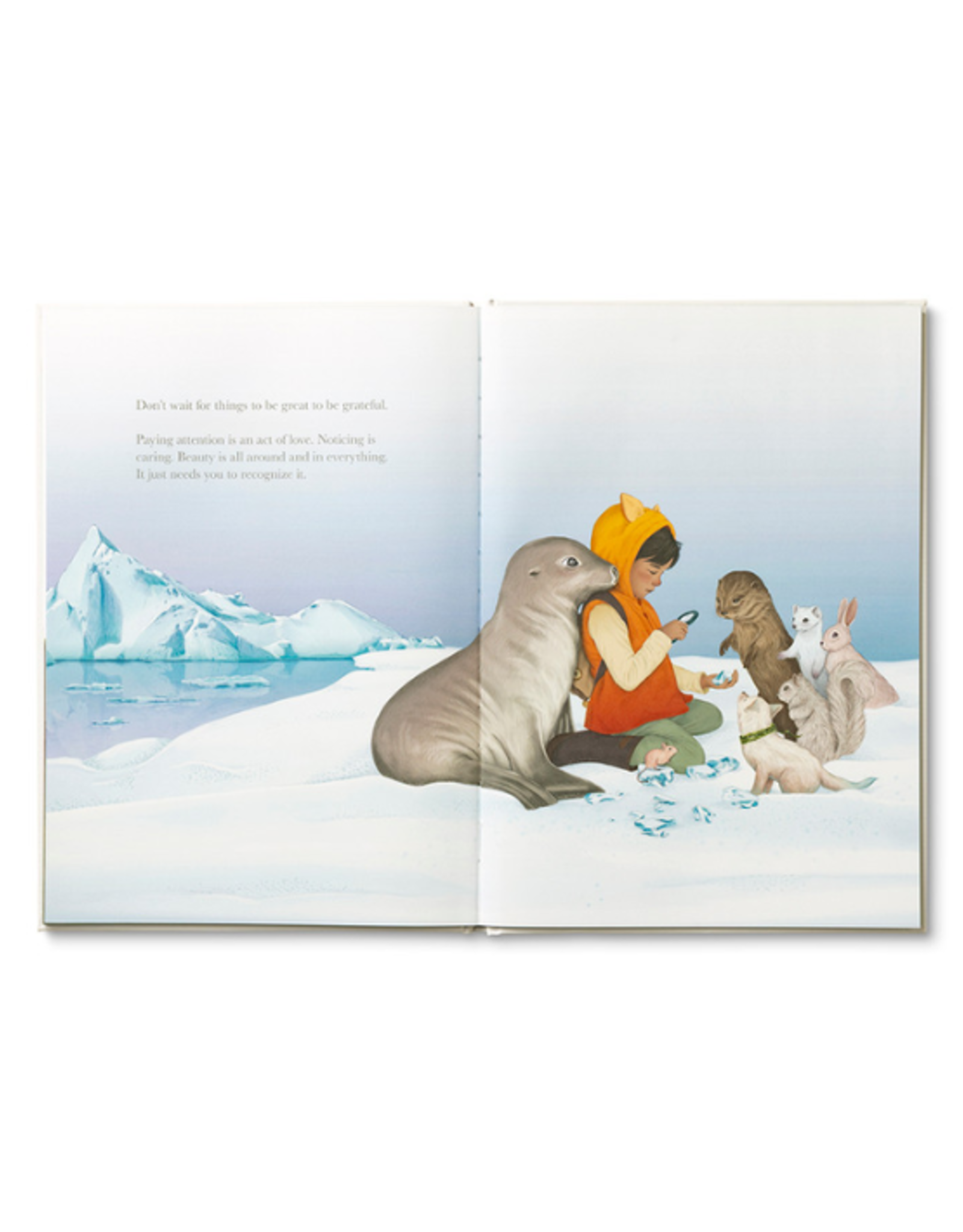 Compendium Compendium - Why Not Book