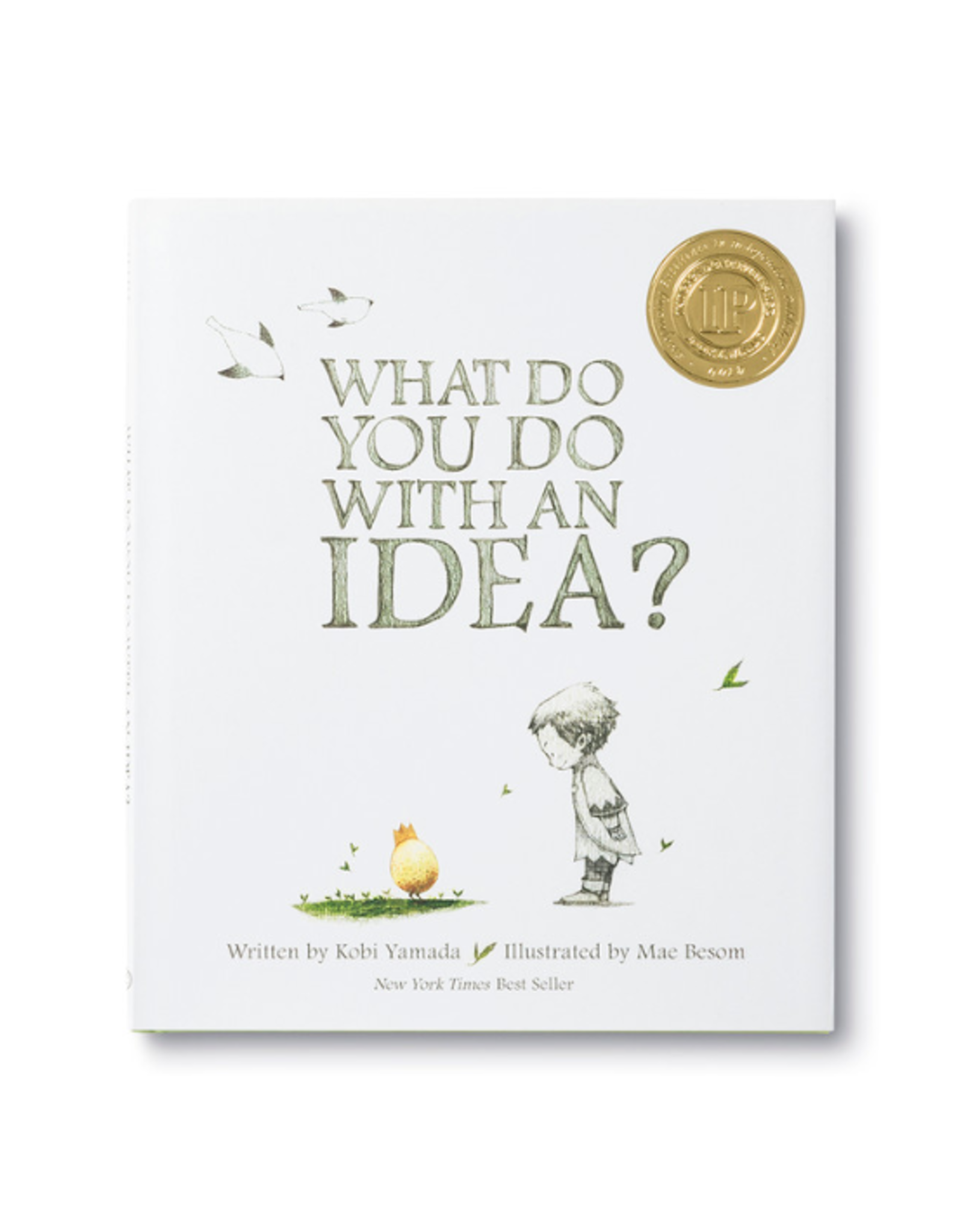 Compendium Compendium - What Do You Do With An Idea? Book