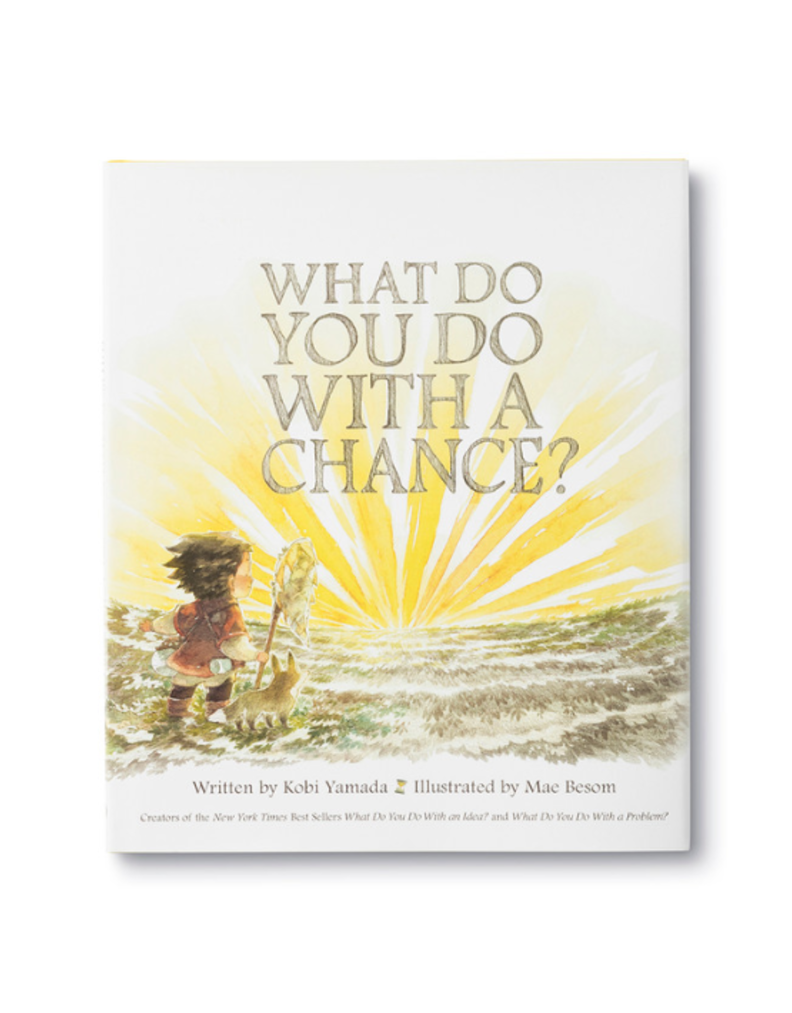 Compendium Compendium - What Do You Do With A Chance? Book