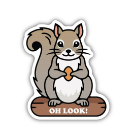 Stickers Northwest Inc. Oh Look Squirrel on Log Sticker