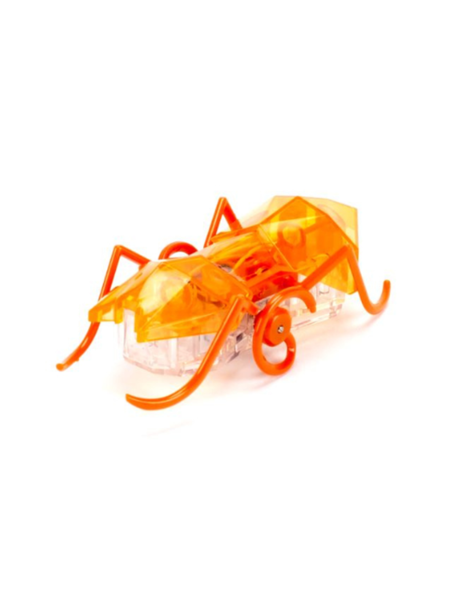 Spin Master Hex Bots Micro Ant