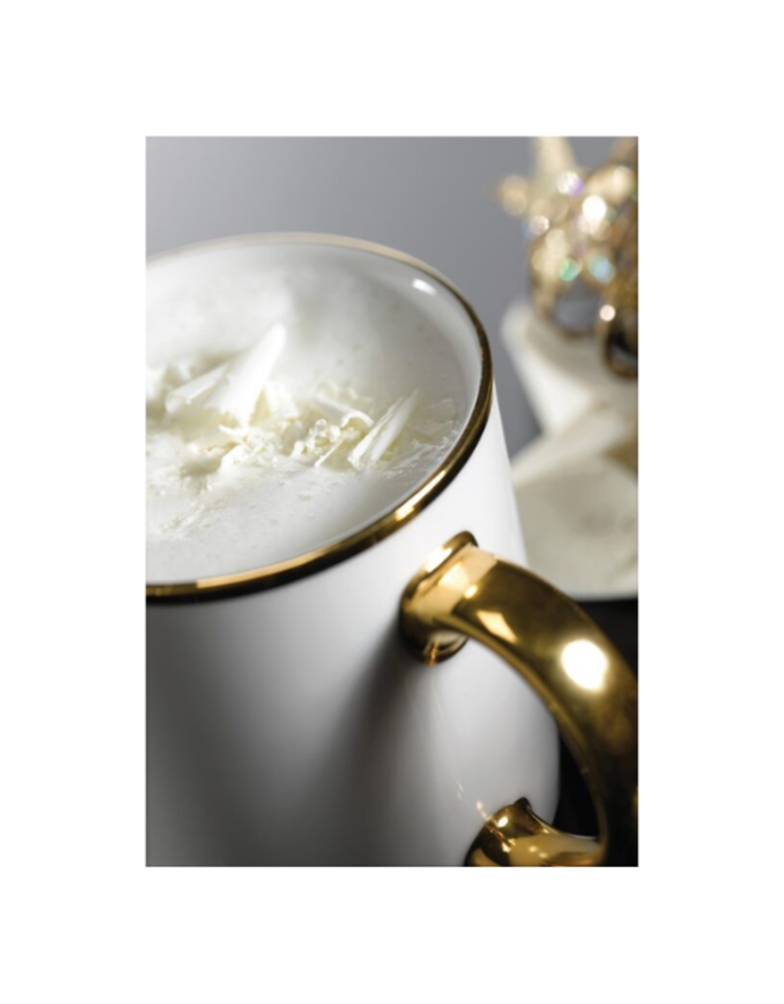 Gourmet Village Gourmet Village - Polar Bear White Hot Chocolate