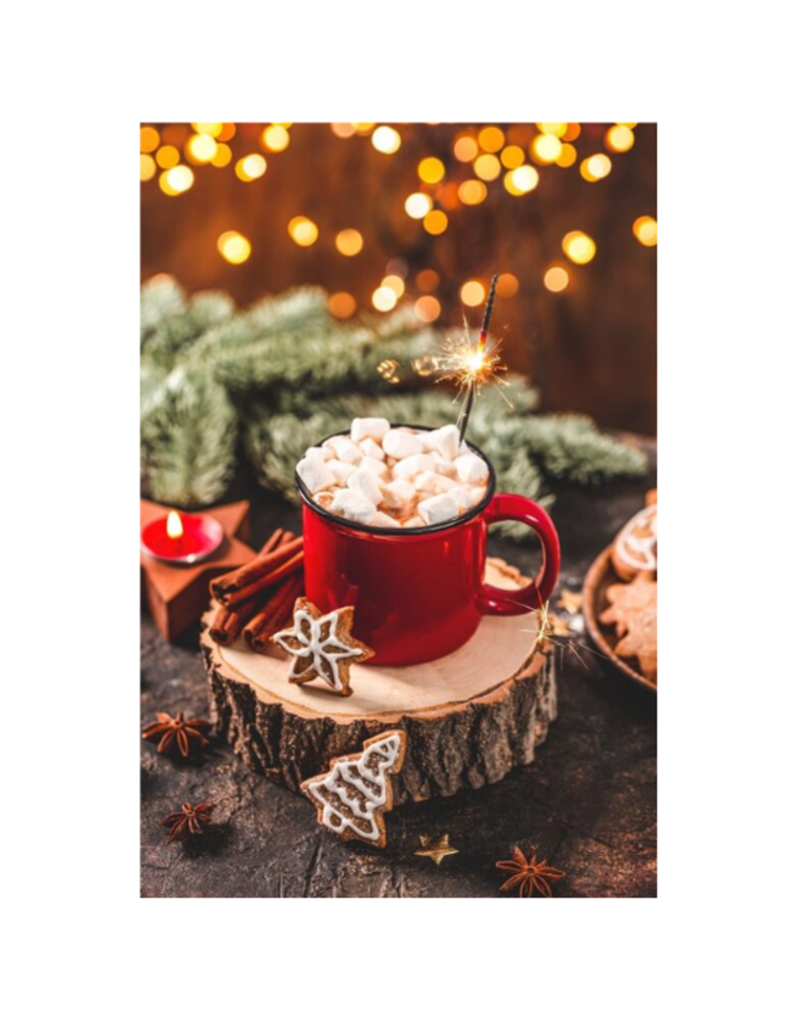 Gourmet Village Gourmet Village - Double Truffle Santa Hot Chocolate