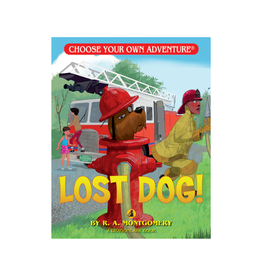 Choose Your Own Adventure Choose Your Own Adventure Lost Dog