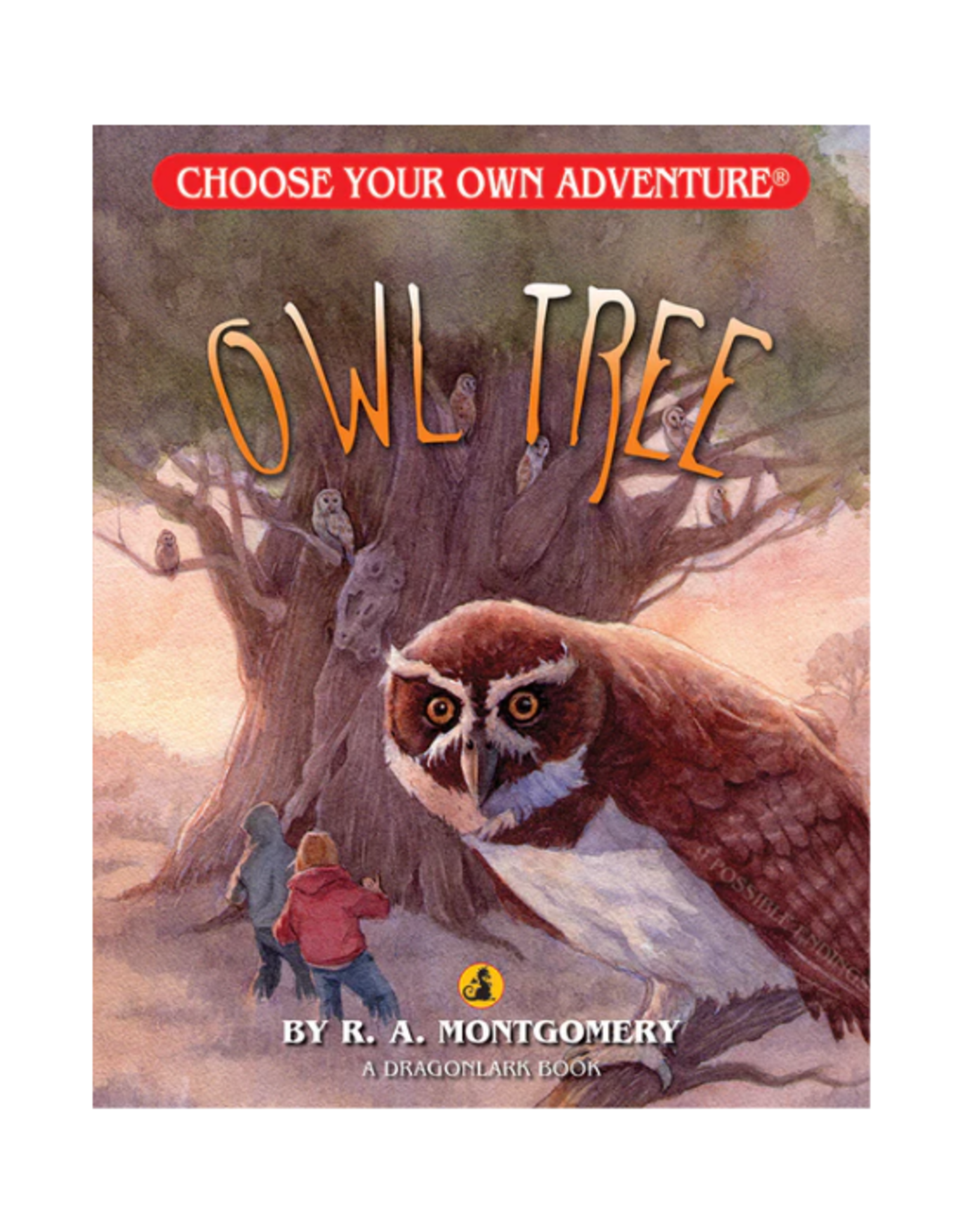 Choose Your Own Adventure Book - Choose Your Own Adventure - Owl Tree