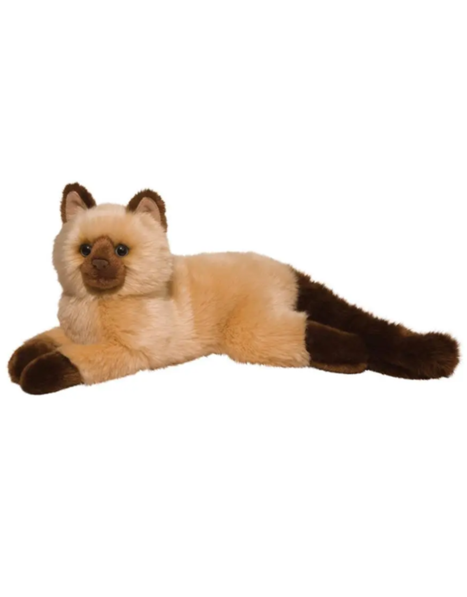 Douglas Douglas - Sebastian Himalayan Cat