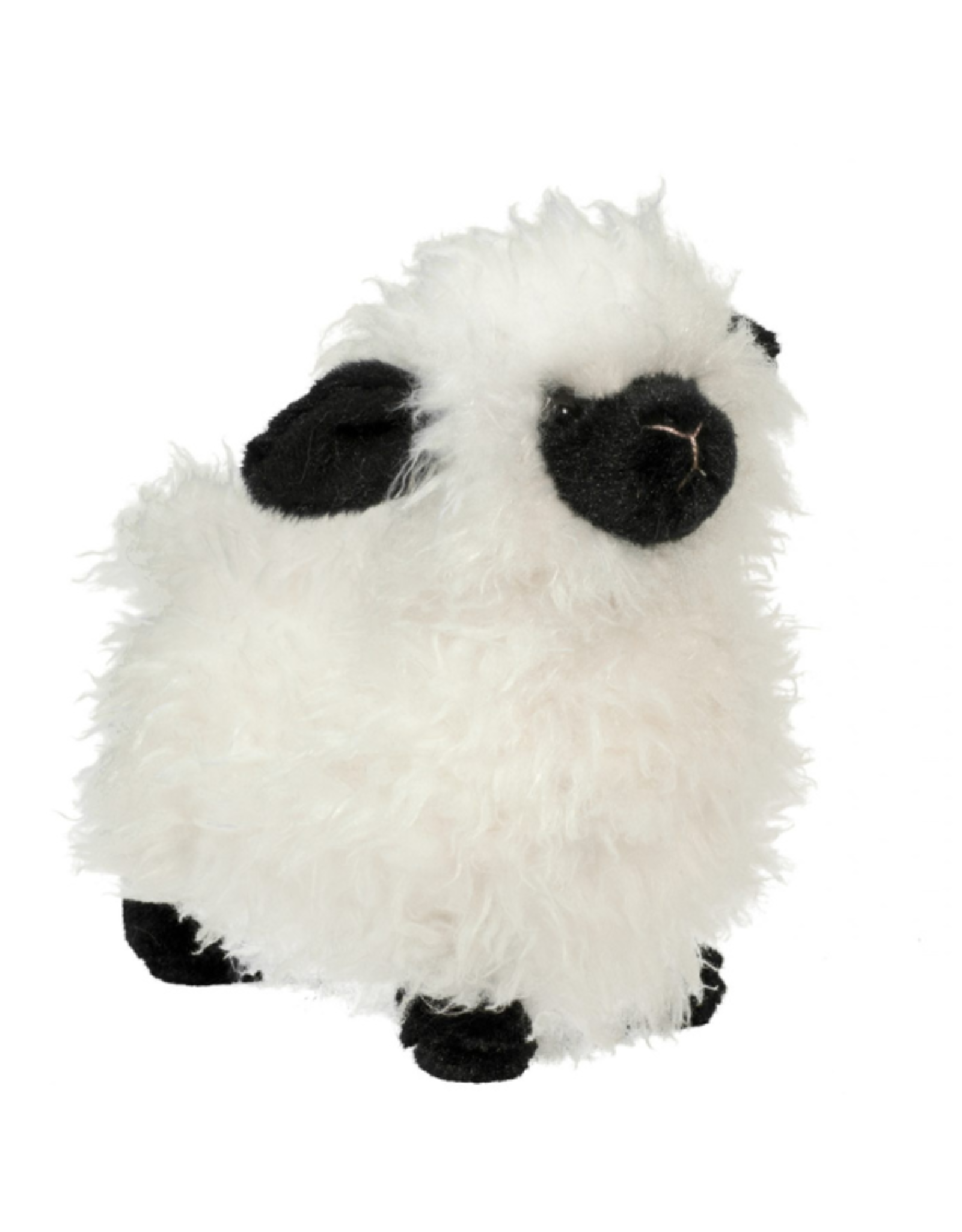 Douglas Douglas - Shiloh Sheep